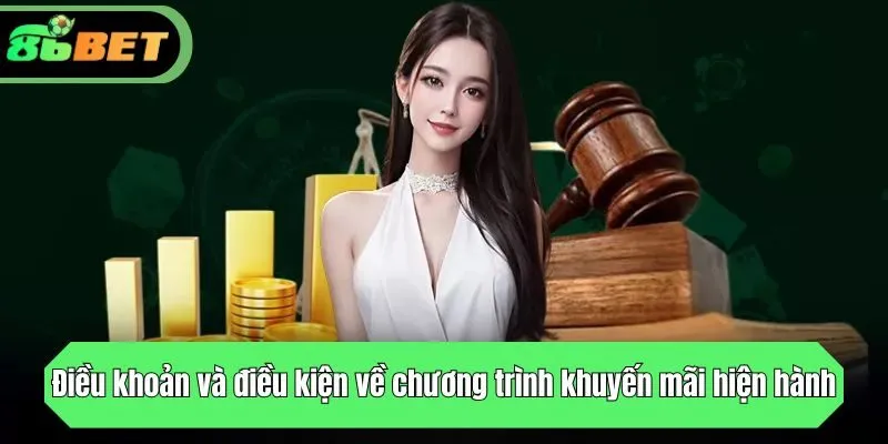 Điều khoản và điều kiện về chương trình khuyến mãi hiện hành