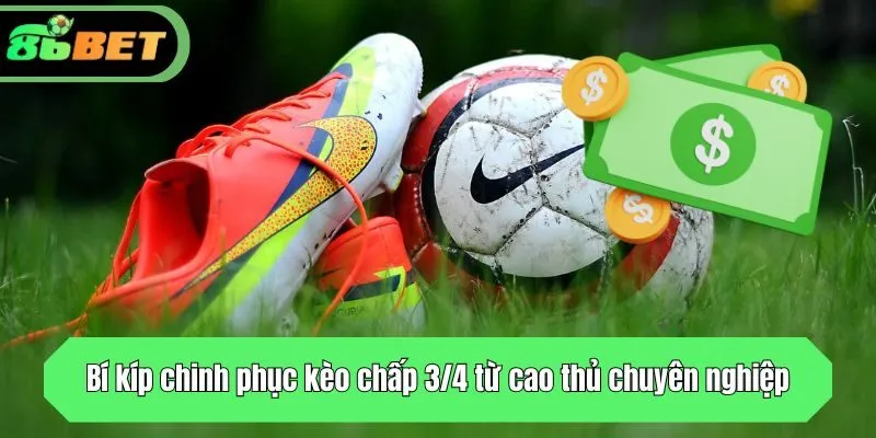 Bí kíp chinh phục kèo chấp 3/4 từ cao thủ chuyên nghiệp