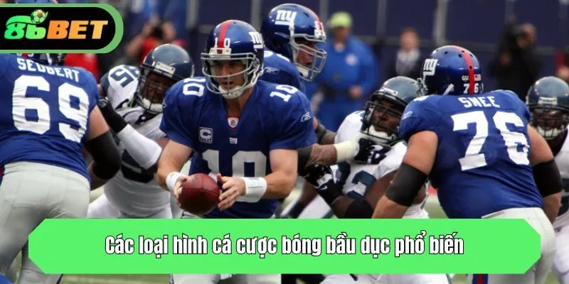 Các loại hình cá cược bóng bầu dục phổ biến