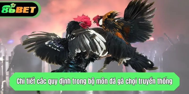 Chi tiết các quy định trong bộ môn đá gà chọi truyền thống