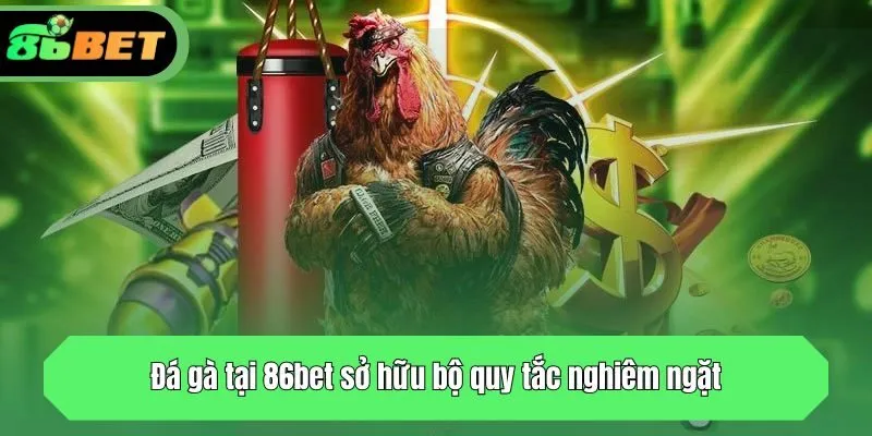Đá gà tại 86bet sở hữu bộ quy tắc nghiêm ngặt