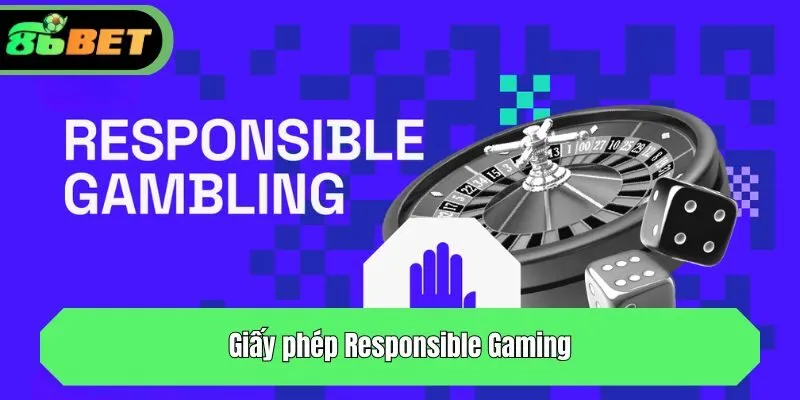 Giấy phép Responsible Gaming