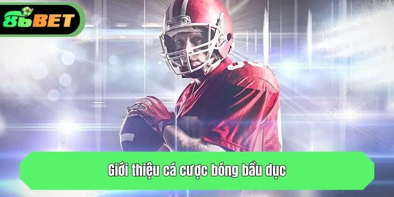 Giới thiệu cá cược bóng bầu dục