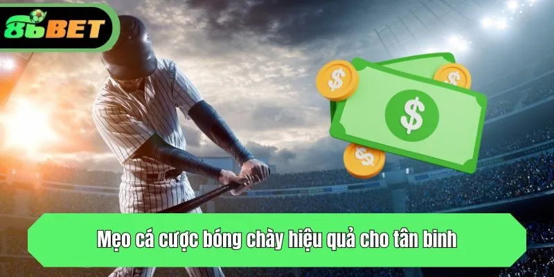 Mẹo cá cược bóng chày hiệu quả cho tân binh