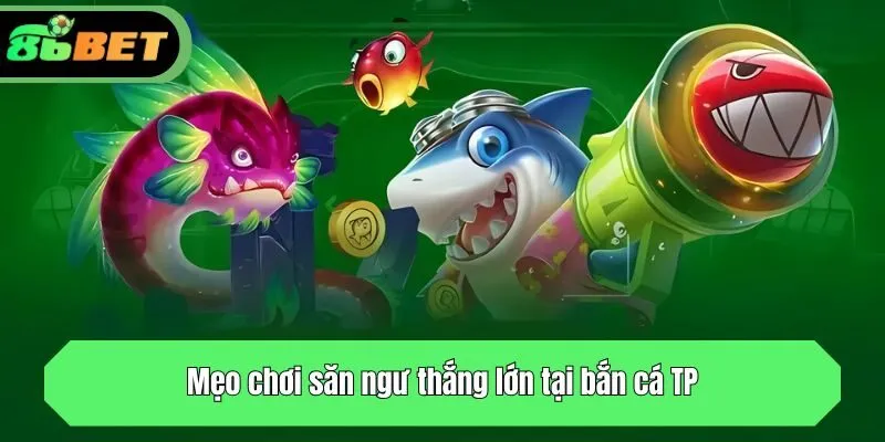 Mẹo chơi săn ngư thắng lớn tại TP