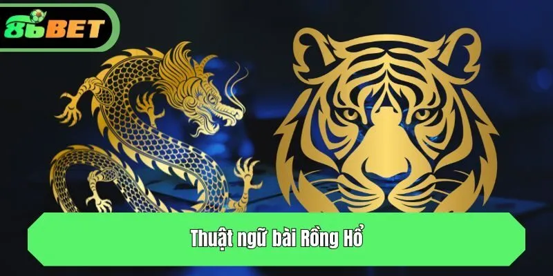 Thuật ngữ bài Rồng Hổ
